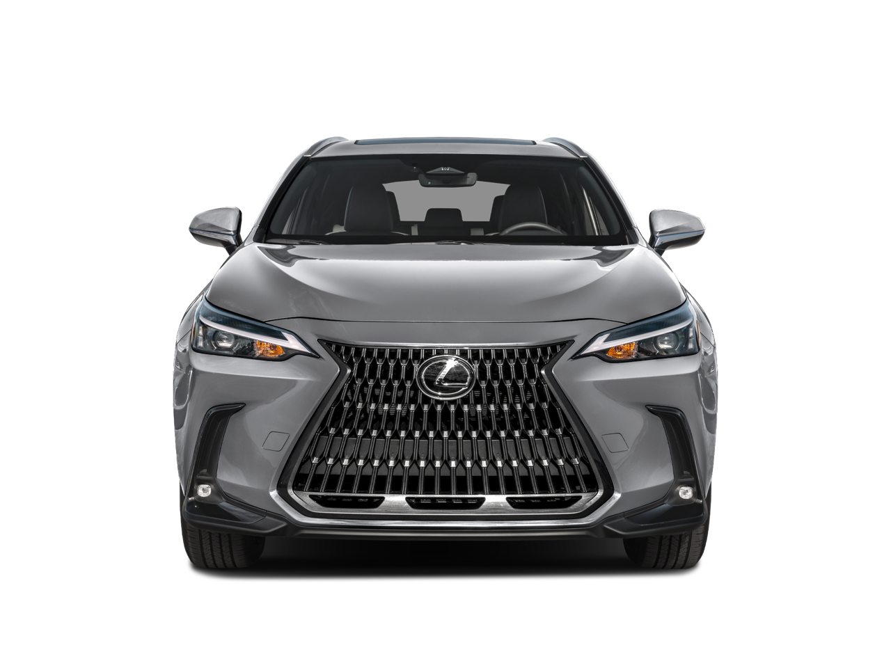2024 Lexus NX NX 250